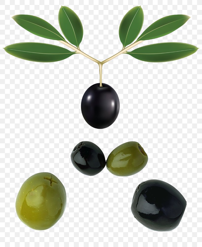 Olive Leaf Olive Oil, PNG, 800x1000px, Olive, Cooking, Cooking Oil, Fruit, Oil Download Free