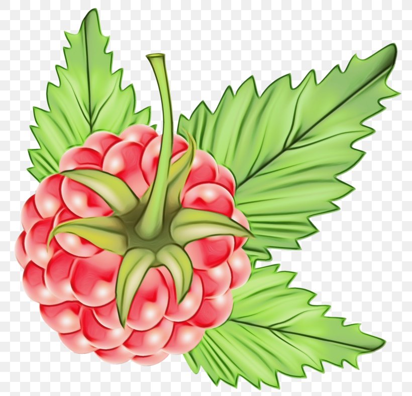 Artificial Flower, PNG, 800x788px, Watercolor, Artificial Flower, Berry, Flower, Flowering Plant Download Free