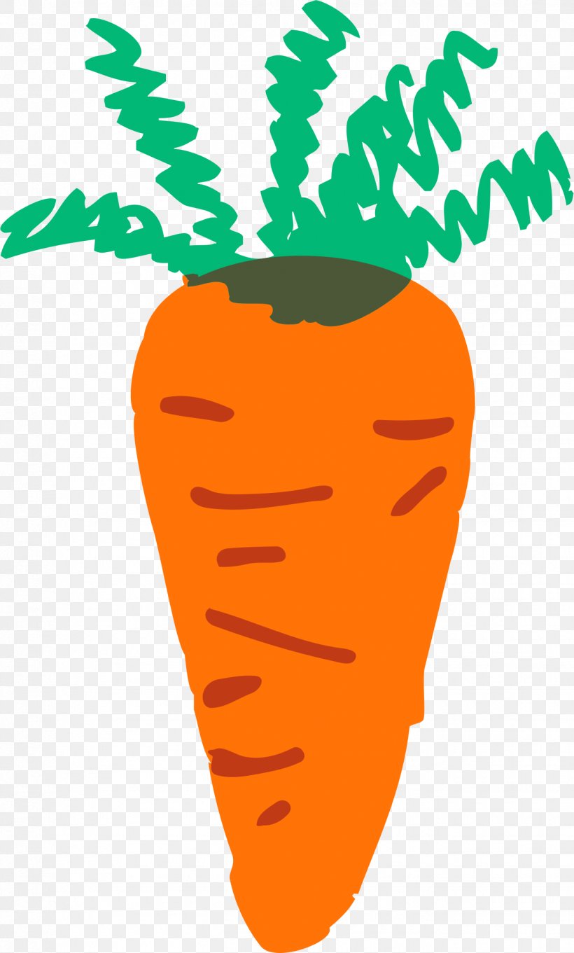 Carrot Clip Art, PNG, 1325x2200px, Carrot, Artwork, Com, Document, Flowering Plant Download Free