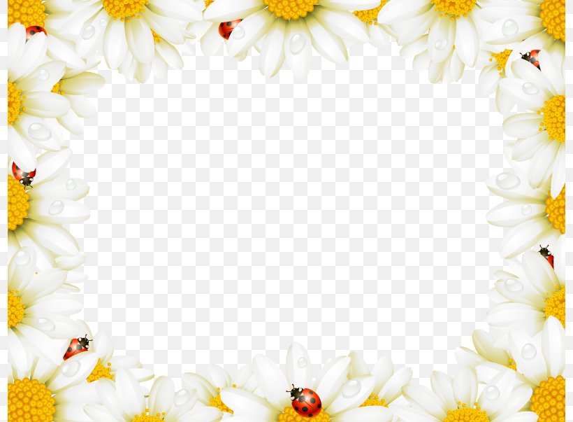 Flower Picture Frame Chamomile Royalty-free, PNG, 798x603px, Flower, Chamomile, Daisy, Decorative Arts, Drawing Download Free