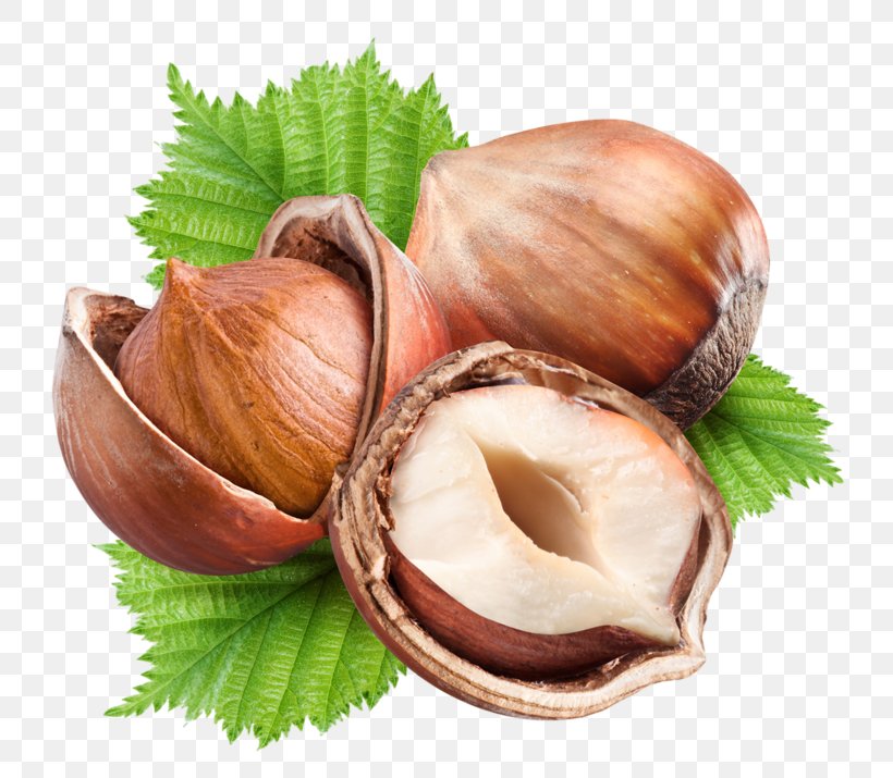 Hazelnut Nuts Fruit Walnut, PNG, 800x715px, Hazelnut, Brazil Nut, Chestnut, Clam, Cockle Download Free
