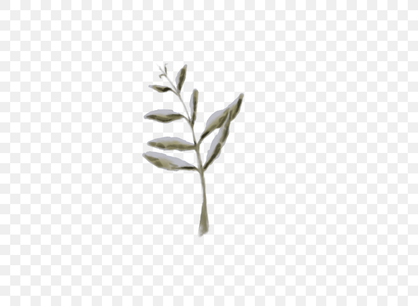 Leaf Plant Stem Twig Tree Commodity, PNG, 600x600px, Leaf, Biology, Commodity, Plant Stem, Plant Structure Download Free