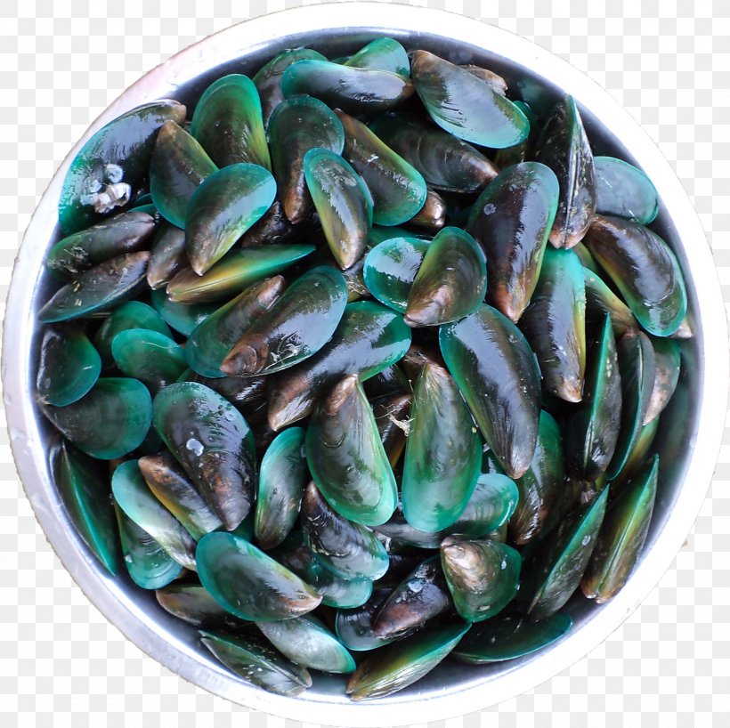 Mussel Clam Vegetarian Cuisine Food La Quinta Inns & Suites, PNG, 1600x1598px, Mussel, Animal Source Foods, Clam, Clams Oysters Mussels And Scallops, Food Download Free