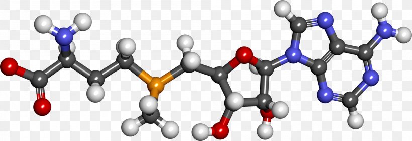 S-Adenosyl Methionine Methylation Methyl Group S-Adenosyl-L-homocysteine, PNG, 2000x683px, Sadenosyl Methionine, Adenosine Triphosphate, Amino Acid, Body Jewelry, Chemical Compound Download Free