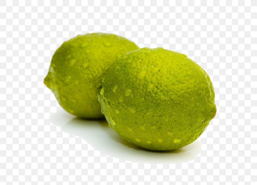 Sweet Lemon Key Lime Persian Lime, PNG, 591x591px, Lemon, Citric Acid, Citron, Citrus, Citrus Junos Download Free