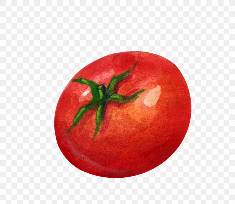 Tomato Vegetable Illustration, PNG, 2300x2000px, Tomato, Apple, Auglis, Brassica Oleracea, Capsicum Annuum Download Free