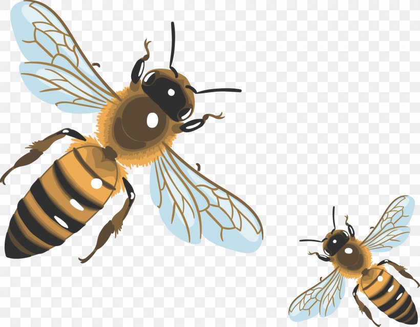 Vector Painted Bee, PNG, 1531x1192px, Bee, Arthropod, Drink, Element, Fly Download Free