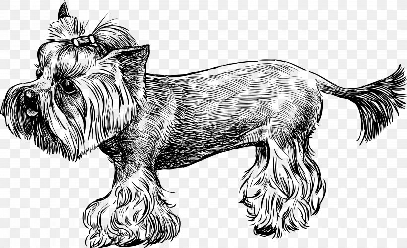 Yorkshire Terrier Cairn Terrier Sketch, PNG, 4000x2446px, Yorkshire Terrier, Actor, Art, Artwork, Because This Is My First Life Download Free