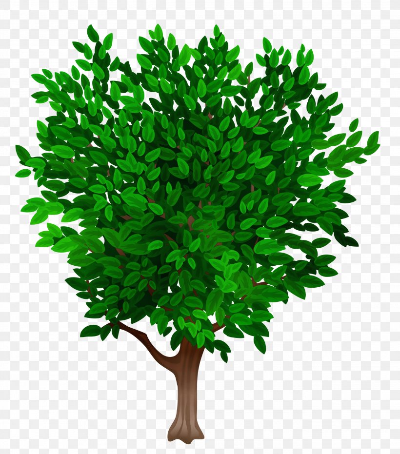Branch Shrub Plant Stem Leaf Plants, PNG, 2642x3000px, Watercolor, Aquarium Decor, Branch, Flower, Grass Download Free