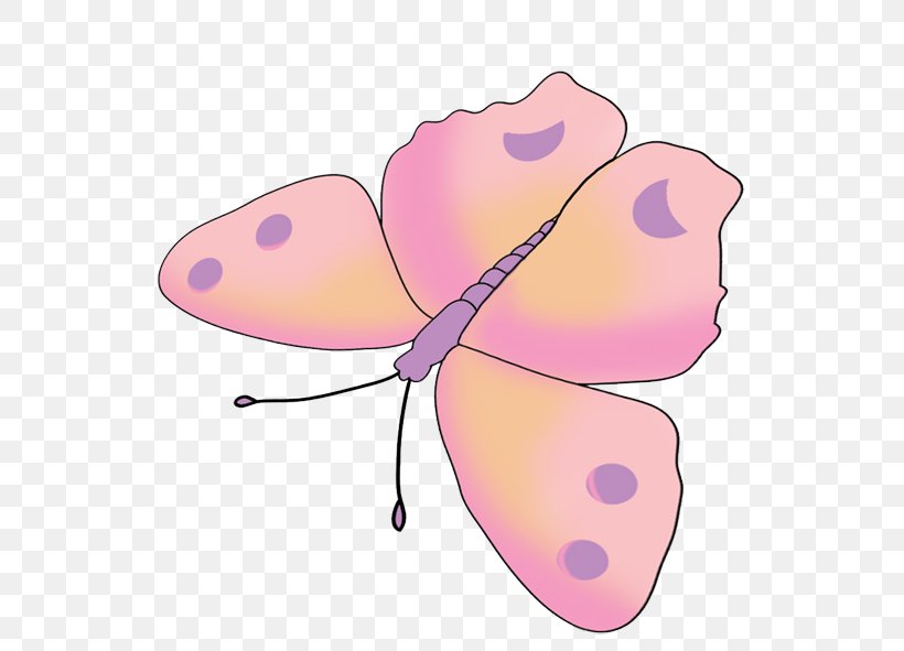 Butterfly Insect Pink Drawing Clip Art, PNG, 556x591px, Butterfly, Arthropod, Black Swallowtail, Butterflies And Moths, Color Download Free