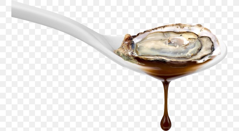 Food Oyster Sauce Maggi, PNG, 741x452px, Food, Cutlery, Dish, Flavor, Maggi Download Free