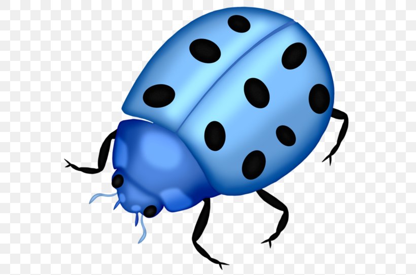 Insect Ladybird Clip Art, PNG, 600x542px, Insect, Beetle, Beneficial Insects, Bicycle Helmet, Blue Download Free