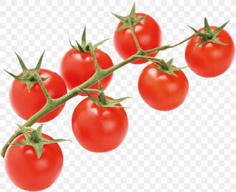Plum Tomato Bush Tomato Vegetable Food, PNG, 856x700px, Plum Tomato, Australian Desert Raisin, Blanching, Bush Tomato, Chayote Download Free