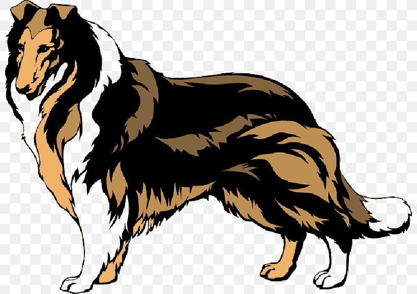 Rough Collie Border Collie Smooth Collie Clip Art, PNG, 800x578px, Rough Collie, Australian Shepherd, Blue Merle, Border Collie, Canidae Download Free