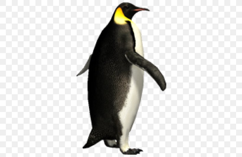 Emperor Penguin Image Clip Art, PNG, 600x533px, Penguin, Animal, Beak, Bird, Emperor Penguin Download Free
