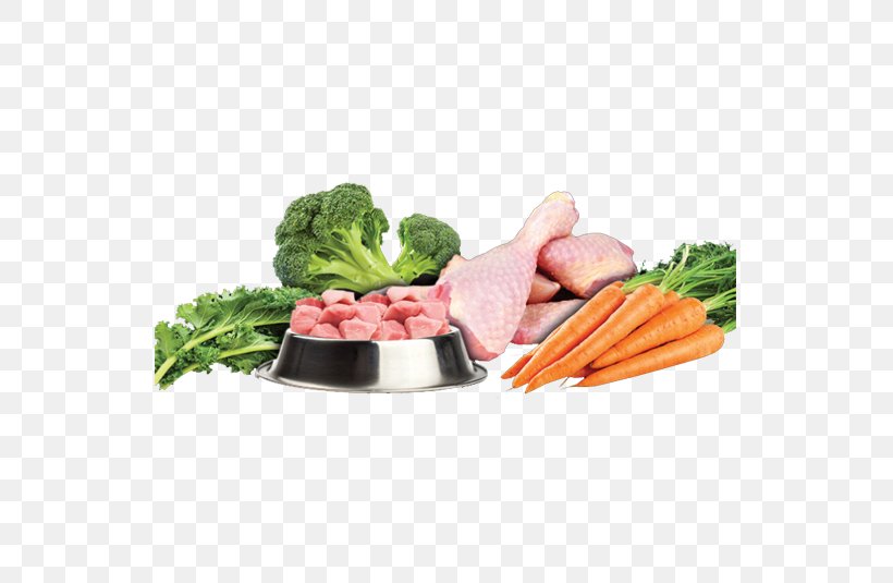 Raw Foodism Dog Vegetarian Cuisine Leaf Vegetable Raw Feeding, PNG, 535x535px, Raw Foodism, Cuisine, Diet, Diet Food, Dish Download Free