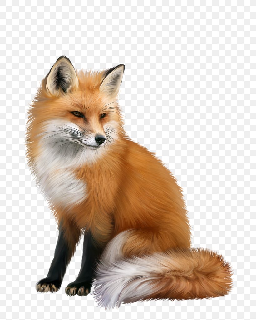 Red Fox Animal, PNG, 773x1024px, Red Fox, Animal, Autodesk 3ds Max, Carnivoran, Cat Download Free