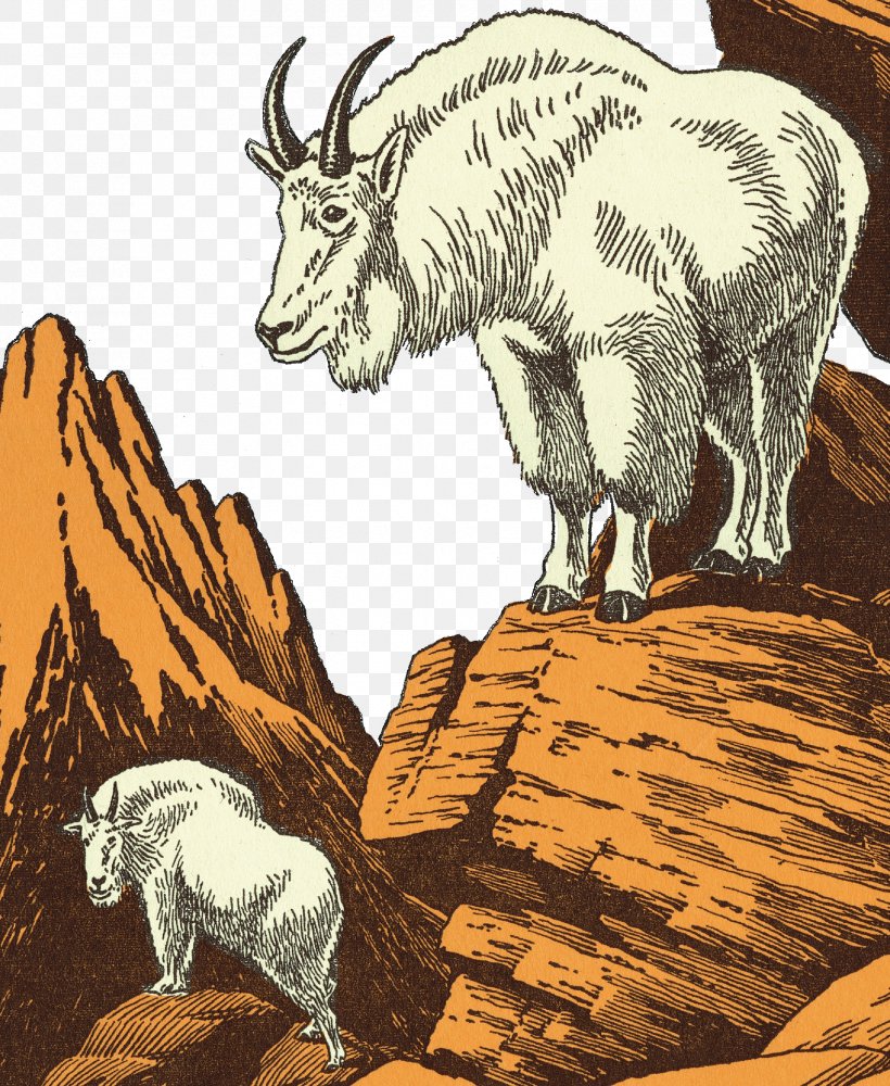Sheep Mountain Goat Cattle Illustration, PNG, 1705x2080px, Sheep, Bighorn Sheep, Cartoon, Cattle, Cattle Like Mammal Download Free