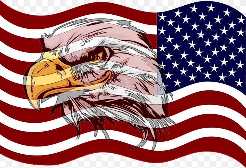 Veterans Day Usa Flag, PNG, 1920x1316px, 4th Of July, Fourth Of July, American, American Flag, Bald Eagle Download Free