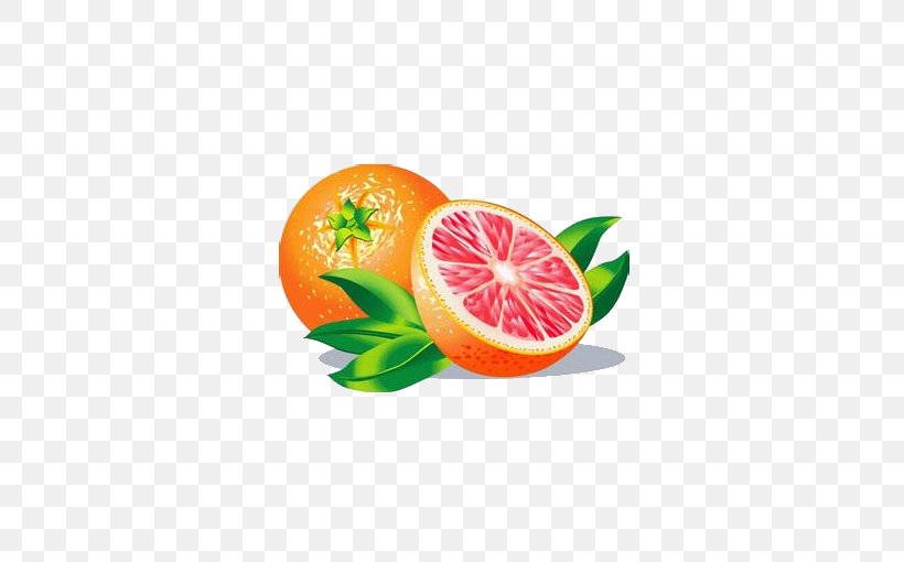 Grapefruit Juice Grapefruit Juice Lemon, PNG, 572x510px, Juice, Citric Acid, Citrus, Diet Food, Food Download Free