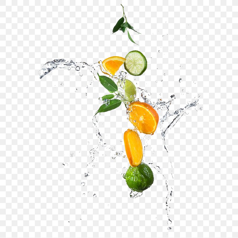 Lemon Water Lime Orange Photography, PNG, 658x821px, Lemon, Citrus, Food, Fruit, Lime Download Free