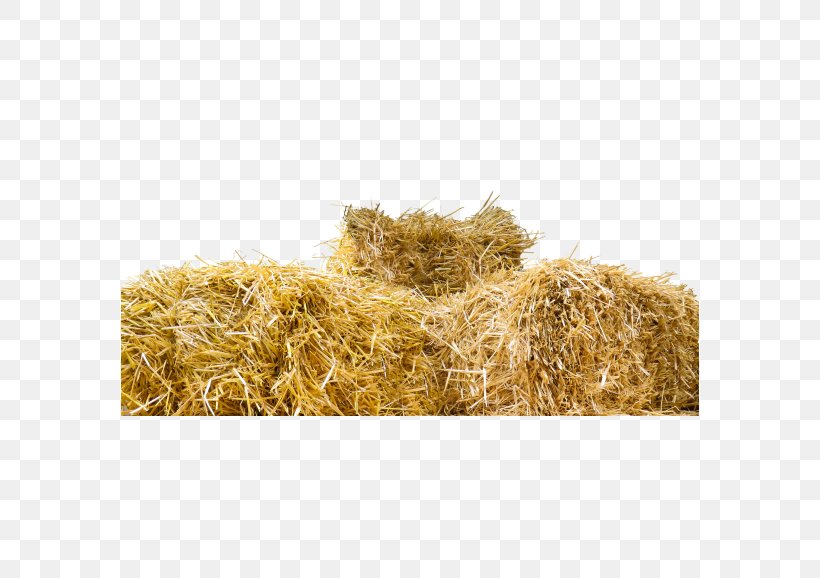 Straw-bale Construction Baler Hay, PNG, 578x578px, Strawbale Construction, Alfalfa, Architectural Engineering, Baler, Cereal Download Free