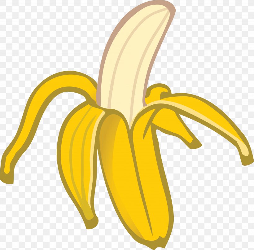 T-shirt Banana Drawing Peel Joke, PNG, 4000x3941px, Tshirt, Art, Banana, Banana Family, Banana Peel Download Free