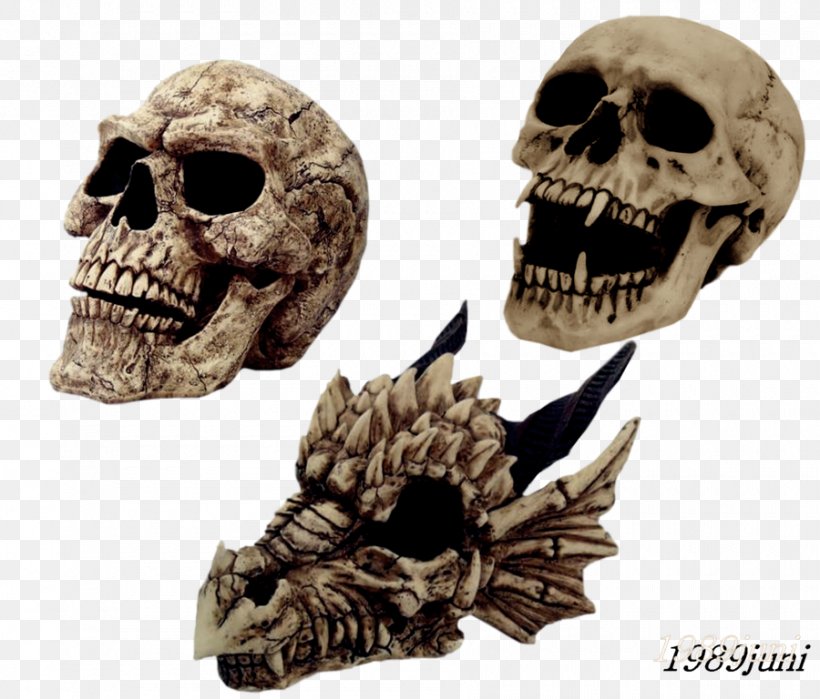 Skull Skeleton Laughter, PNG, 900x768px, Skull, Bone, Head, Jaw, Laughter Download Free
