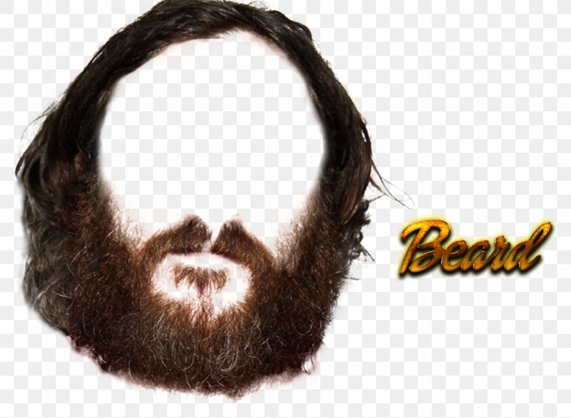 Beard Clip Art, PNG, 1583x1161px, Beard, Chin, Facial Hair, Hair, Hairstyle Download Free