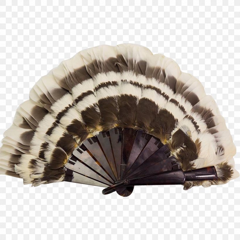 Celluloid Common Ostrich Vintage Clothing Hand Fan Feather, PNG, 869x869px, Celluloid, Beret, Clothing Accessories, Cocktail, Common Ostrich Download Free
