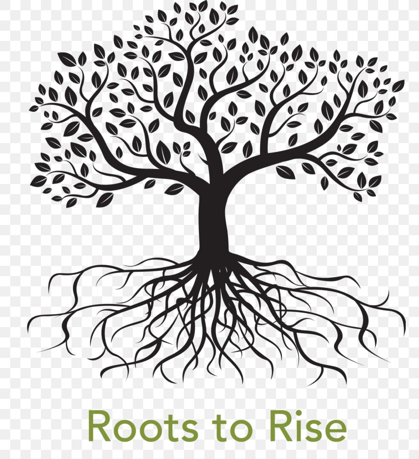 Celtic Design Tree Of Life Root Clip Art, PNG, 768x898px, Celtic Design, Artwork, Black And White, Branch, Drawing Download Free