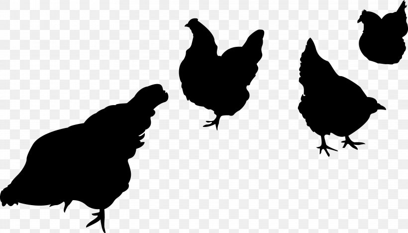 Chicken Silhouette Clip Art, PNG, 3639x2080px, Chicken, Beak, Bird, Black And White, Chicken As Food Download Free