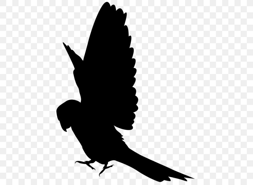 Parrot Silhouette Bird Beak Clip Art, PNG, 459x600px, Parrot, Beak, Bird, Black And White, Branch Download Free