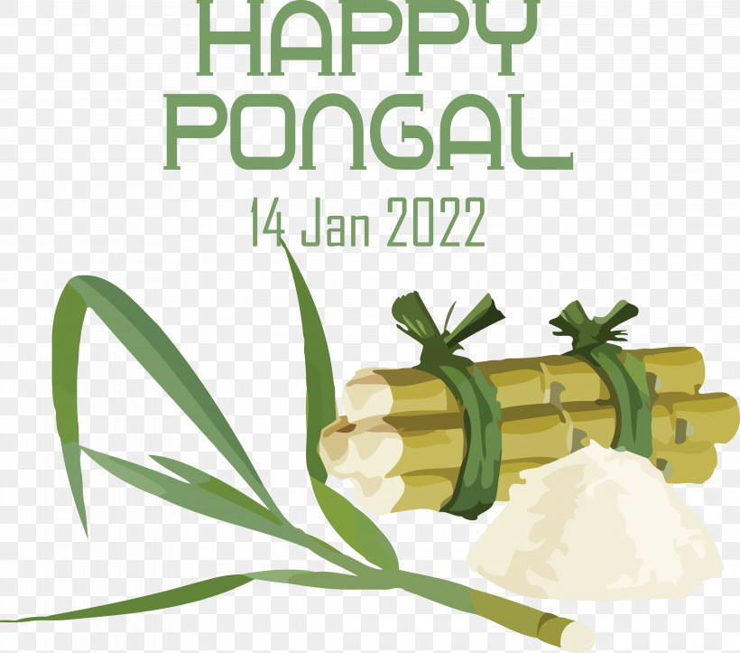 Makar Sankranti, PNG, 4347x3834px, Pongal, Festival, Harvest Festival, Juice, Makar Sankranti Download Free