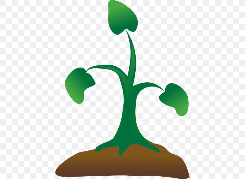 Seedling Sprouting Tree Clip Art, PNG, 450x600px, Seedling, Flora, Free Content, Grass, Green Download Free