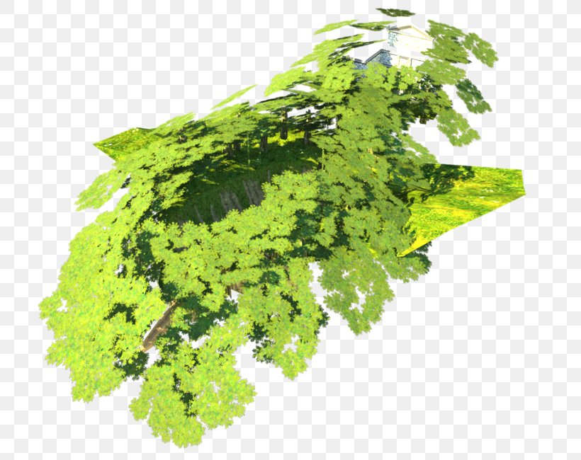 Tree Leaf Vegetable Herb, PNG, 750x650px, Tree, Herb, Leaf Vegetable, Plant Download Free