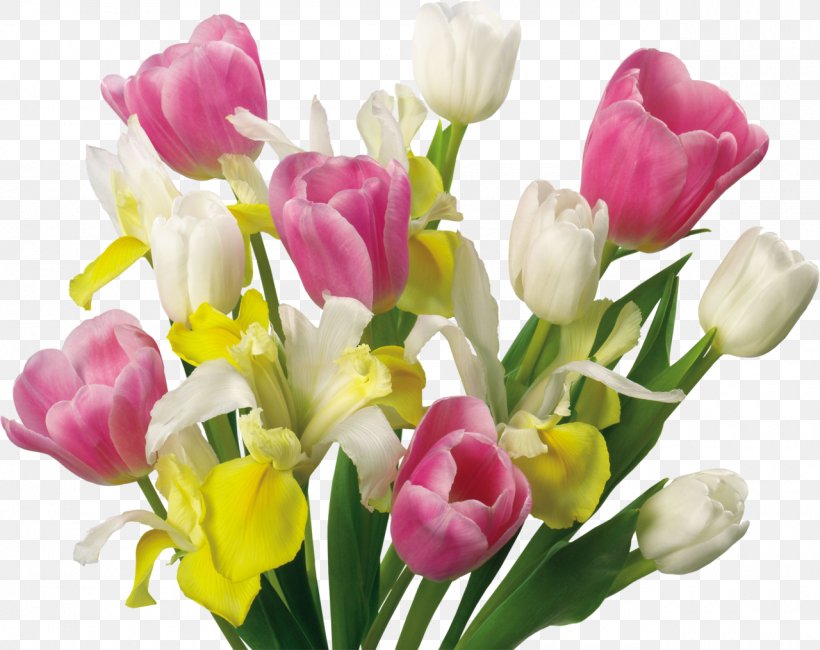 Tulip Flower Clip Art, PNG, 1280x1015px, Tulip, Computer, Crocus, Cut Flowers, Floral Design Download Free