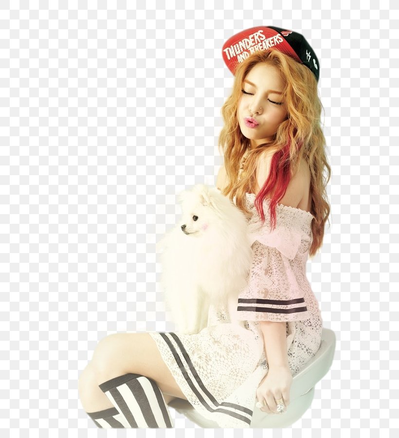 Ailee A's Doll House K-pop Korean Idol A New Empire, PNG, 660x900px, Watercolor, Cartoon, Flower, Frame, Heart Download Free