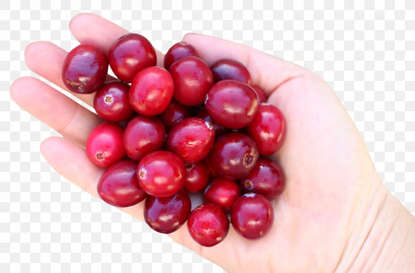 Cranberry Juice Cranberry Juice Frutti Di Bosco, PNG, 1586x1046px, Juice, Berry, Cherry, Cranberry, Cranberry Juice Download Free