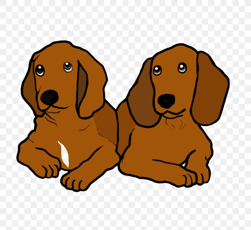 Dog Breed Puppy Dachshund Companion Dog Whiskers, PNG, 752x752px, Dog Breed, Breed, Carnivoran, Companion Dog, Dachshund Download Free