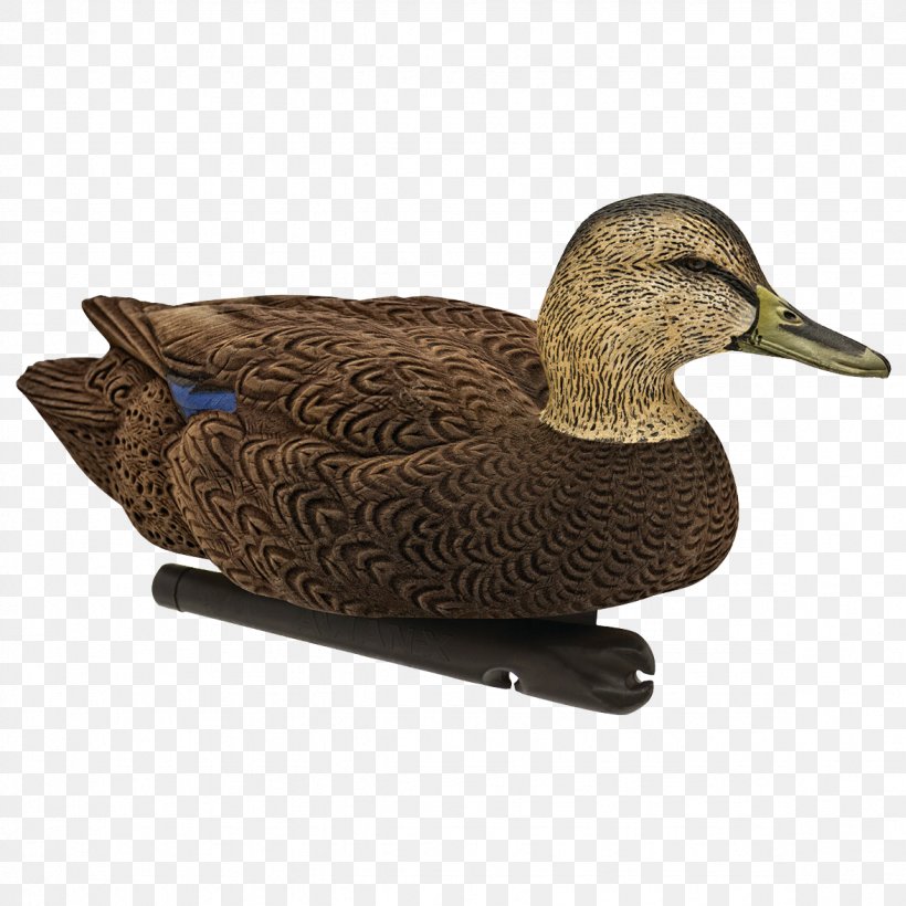 Mallard Duck Decoy Goose, PNG, 1176x1176px, Mallard, American Black Duck, Beak, Bird, Decoy Download Free