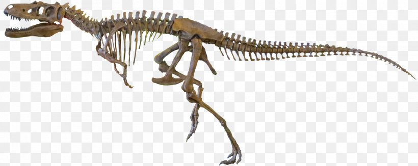 Nanotyrannus Tyrannosaurus Guanlong Gorgosaurus Daspletosaurus, PNG, 1920x765px, Nanotyrannus, Animal Figure, Ceratosaurus, Corythosaurus, Daspletosaurus Download Free