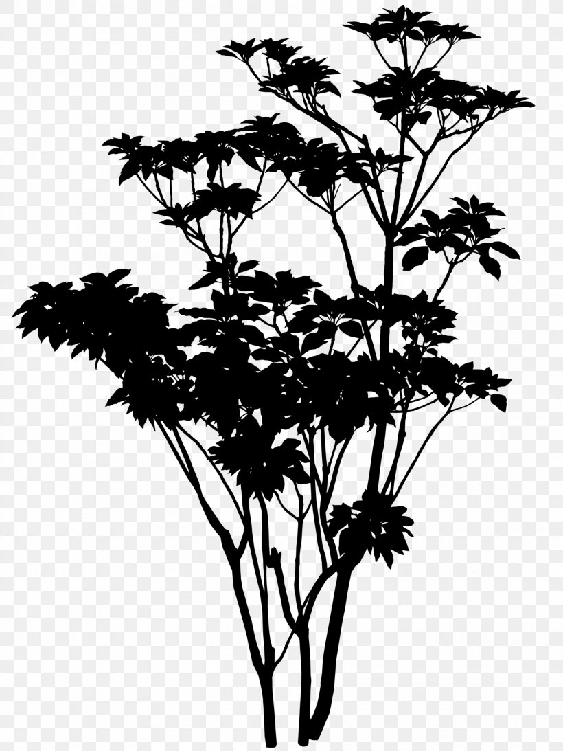 Silhouette Twig Light Photography Clip Art, PNG, 1911x2548px, Silhouette, Black And White, Branch, Flora, Flower Download Free
