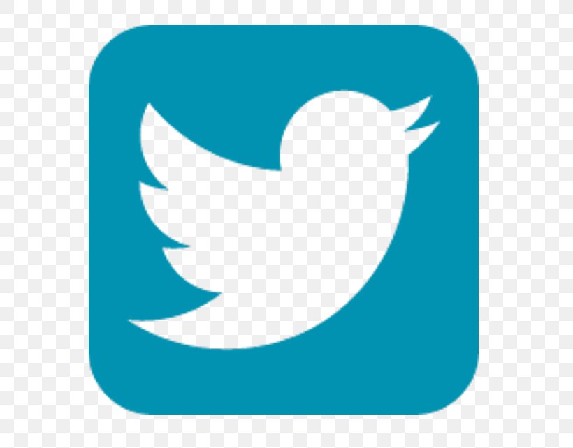 Social Media, PNG, 600x642px, Social Media, Aqua, Beak, Bird, Button Download Free