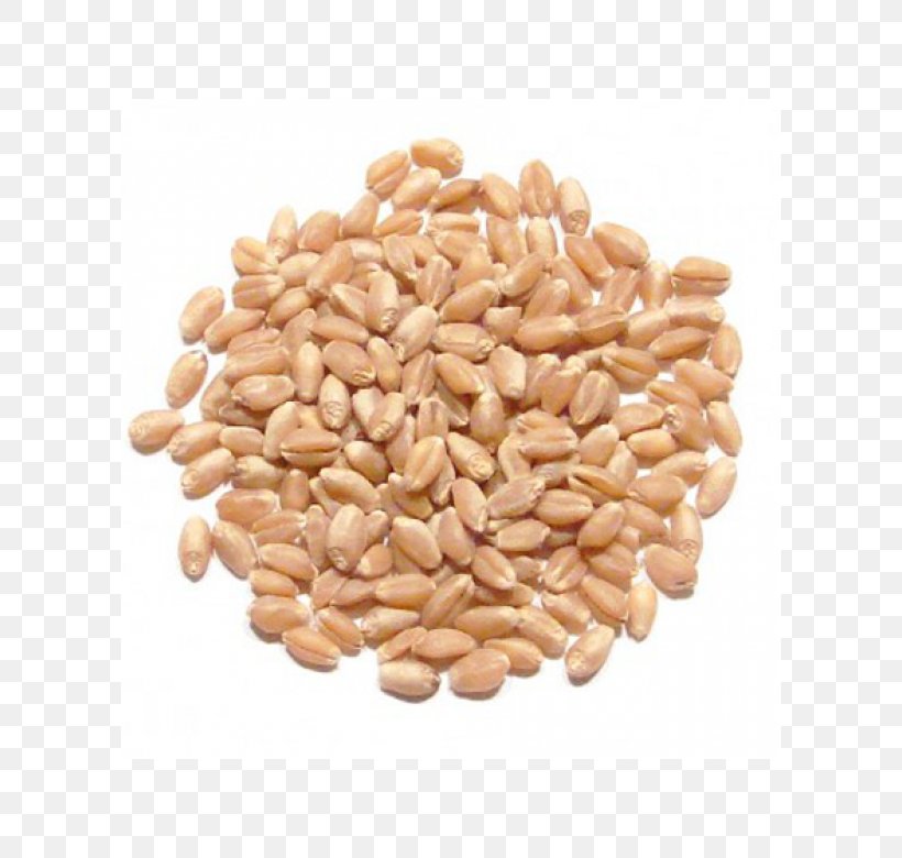 Wheat Berry Whole Grain Spelt Durum Food, PNG, 600x780px, Wheat Berry, Bean, Berry, Cereal, Cereal Germ Download Free