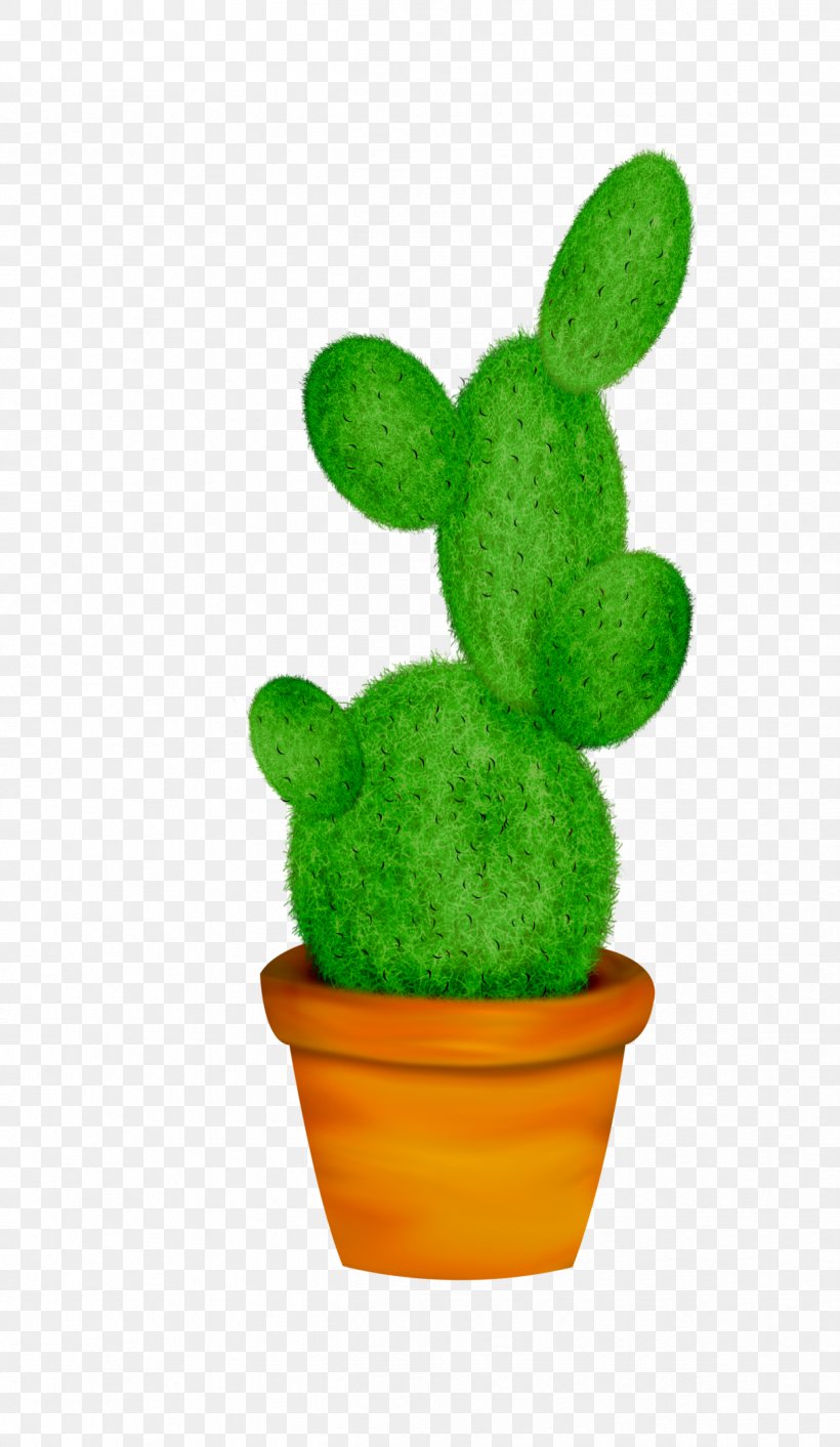 Cactaceae Cacti & Succulents Cactus Et Succulentes Succulent Plant Clip Art, PNG, 1218x2100px, Cactaceae, Cacti Succulents, Cactus, Cactus Et Succulentes, Caryophyllales Download Free