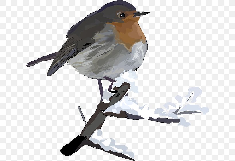 European Robin Bird Robin Clip Art, PNG, 640x562px, European Robin, American Robin, Beak, Bird, Fauna Download Free