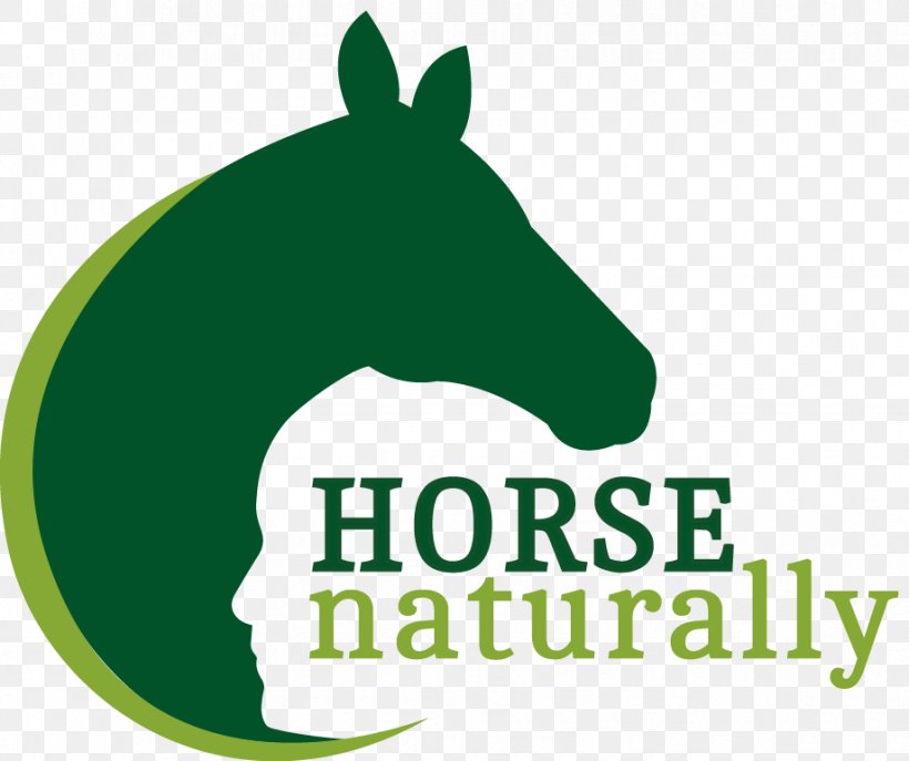 Horse Naturally Amazon.com Chinese Character Fast Finder: Simplified Characters, PNG, 919x770px, Horse, Alsace, Amazoncom, Area, Brand Download Free