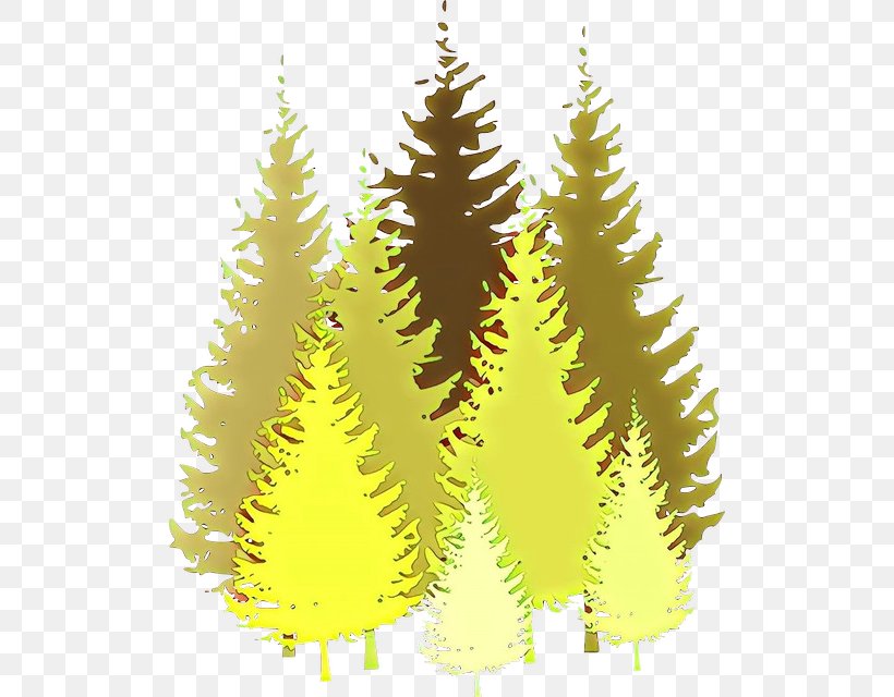 Shortleaf Black Spruce Oregon Pine Tree Lodgepole Pine Yellow, PNG, 510x640px, Cartoon, American Larch, Balsam Fir, Colorado Spruce, Hackmatack Download Free