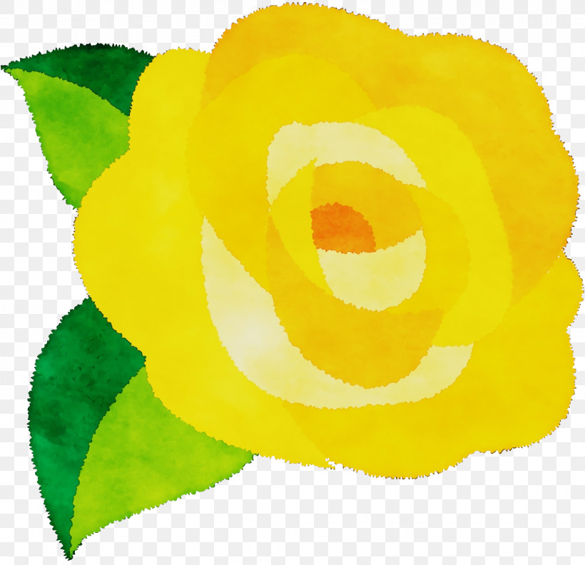 Garden Roses, PNG, 1600x1546px, Watercolor, Biology, Garden, Garden Roses, Paint Download Free